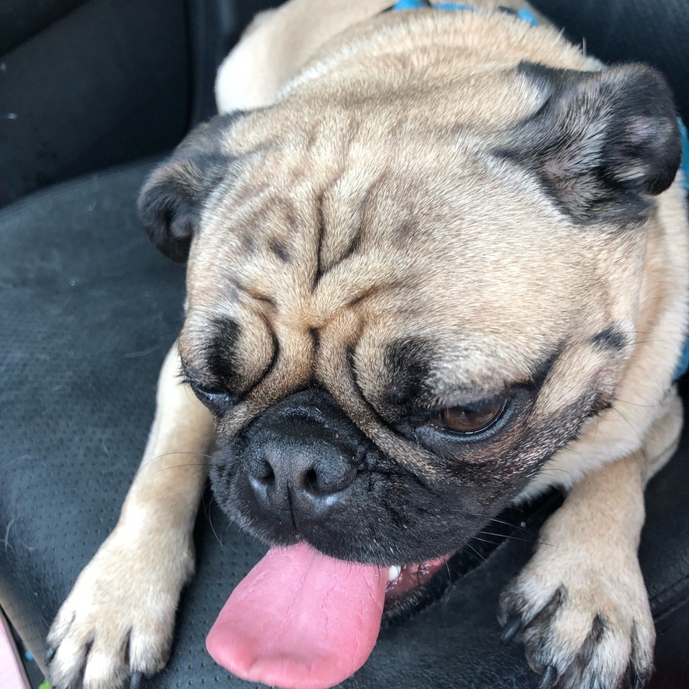 Meet your Posher, Brooke